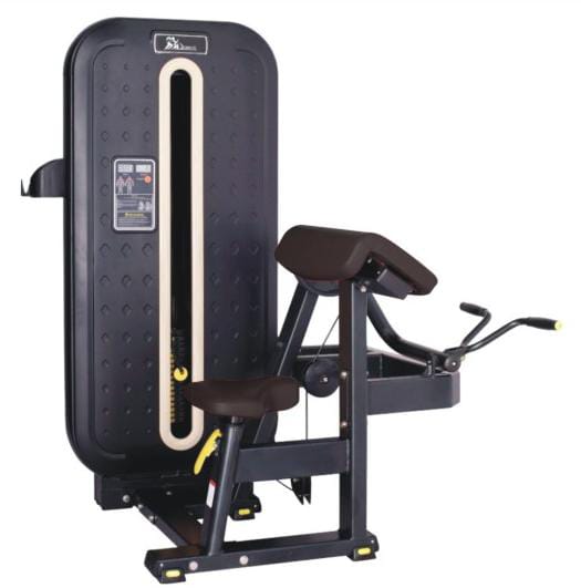 Bicep Curl commercial fitness equipment