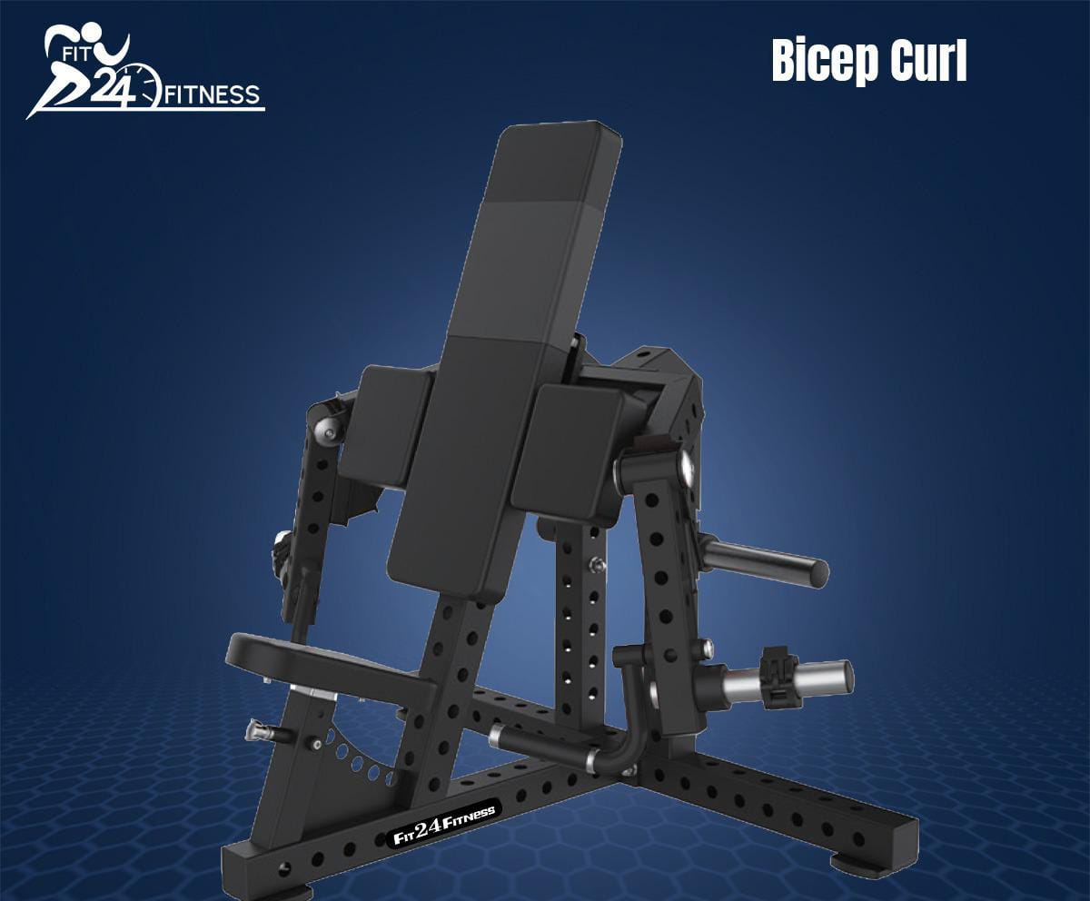 Bicep Curl commercial fitness equipment