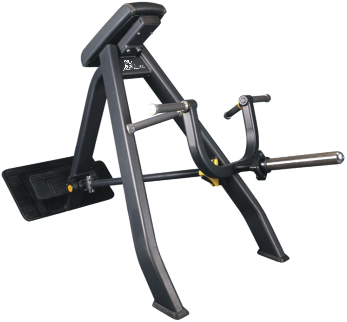 Incline Level Row (T-Bar) commercial fitness equipment