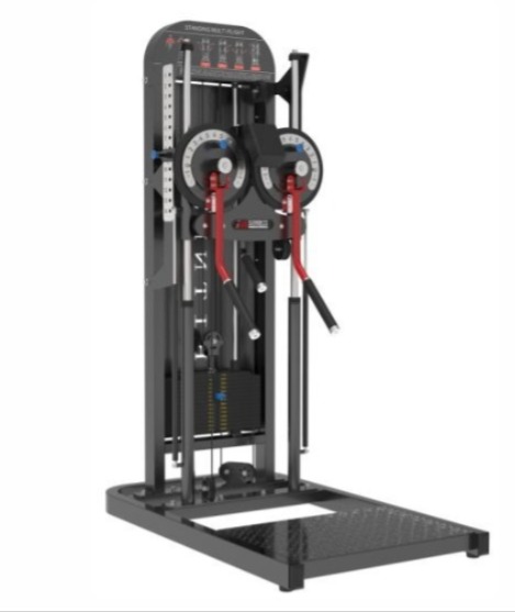 Standing Lateral Raise commercial fitness equipment