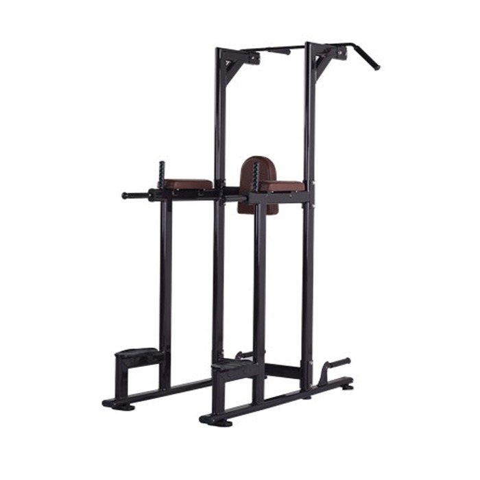 Vertical Knee Raise commercial fitness equipment
