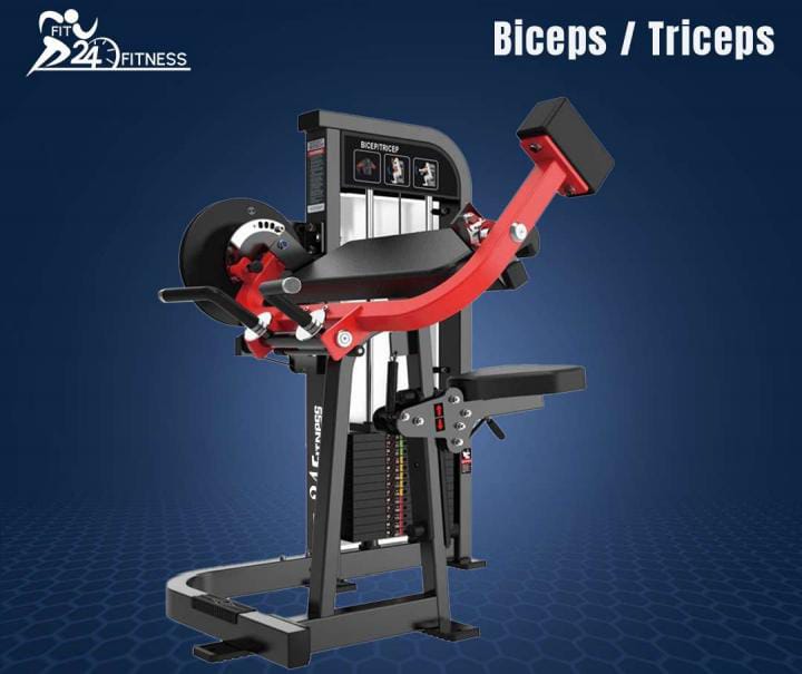 Bicep Curl commercial fitness equipment