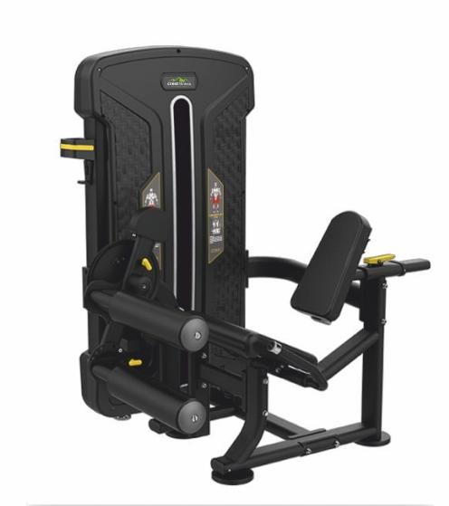 Leg Ext, Leg Curl commercial fitness equipment