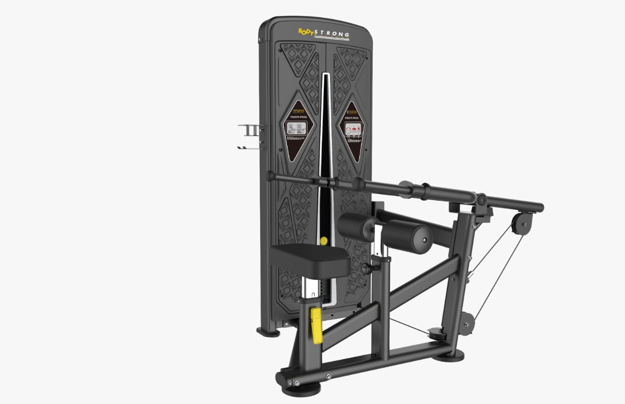 Dip Tricep commercial fitness equipment