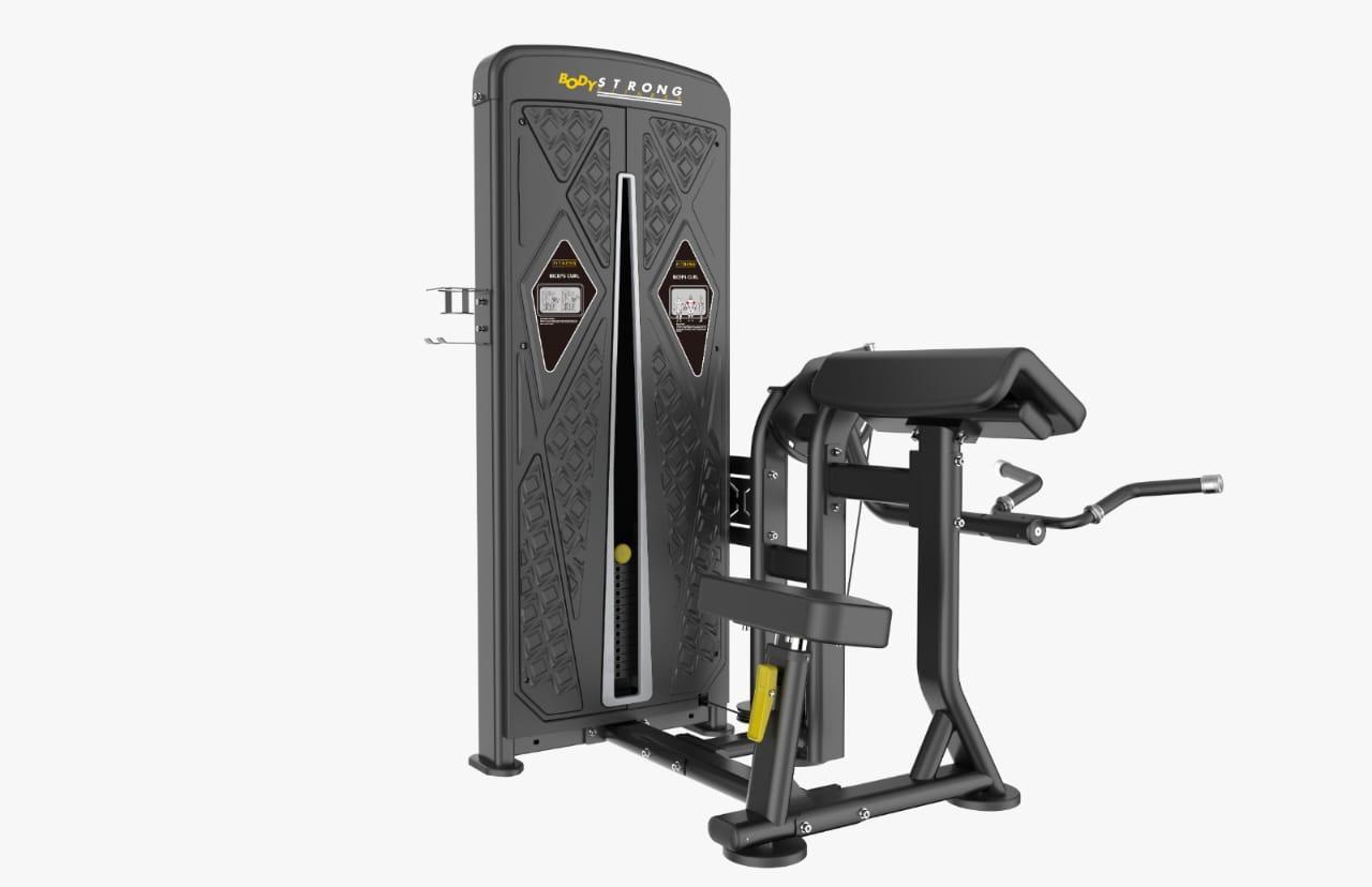 Biceps Curl by Fit24Fitness